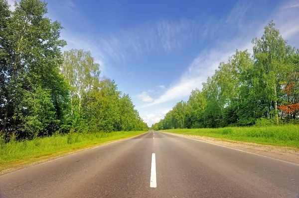Smooth asphalt road surrounded by forest. — Stock Photo, Image