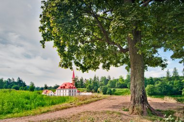 Tarikat Sarayı gatchina arka ağaç. Rusya