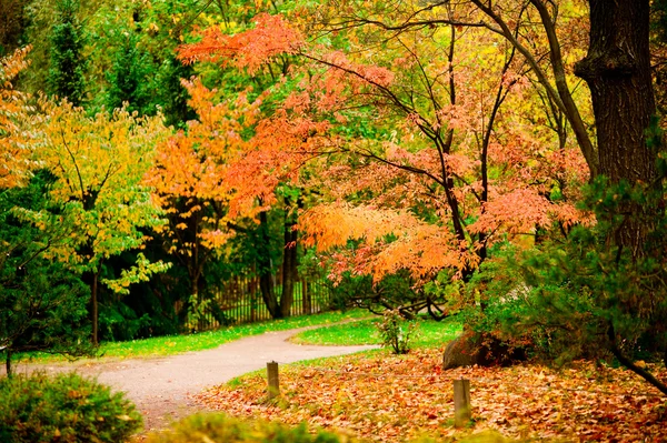 Herfst schetsen in het park. — Stockfoto