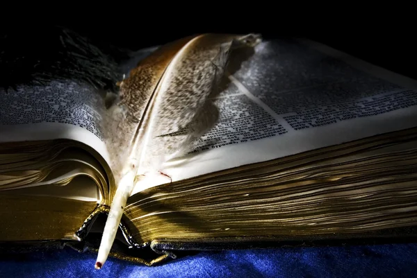 Pluma de pluma acostado en libro abierto — Foto de Stock
