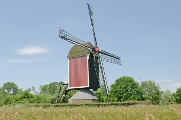 Maasmill near Nederasselt — Stock Photo, Image