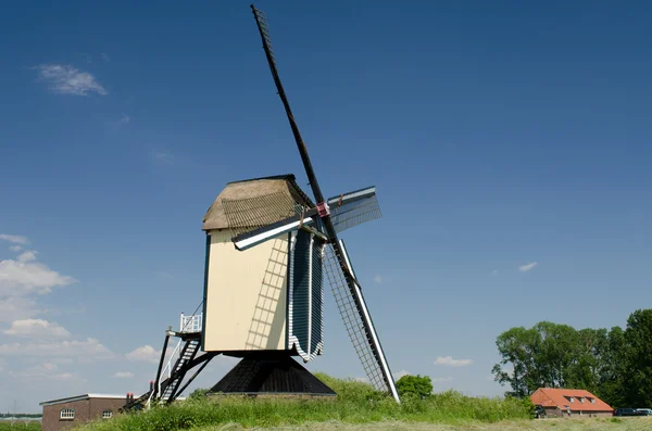 O moinho de Batenburg — Fotografia de Stock