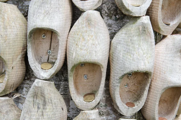 Sapatos de madeira em uma árvore — Fotografia de Stock