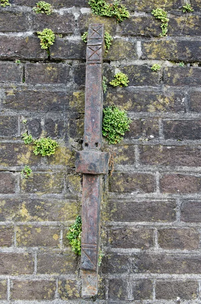Antigua pared con plantas — Foto de Stock