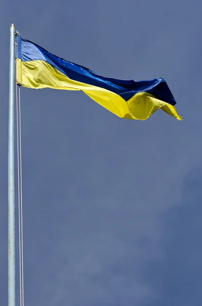 stock image The flag of Ukraine