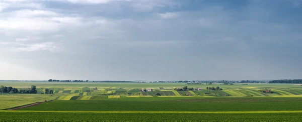 stock image Field and village