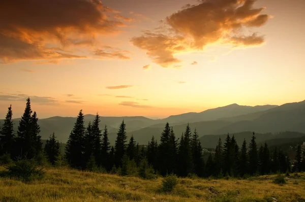 Krásná letní krajina v horách — Stock fotografie