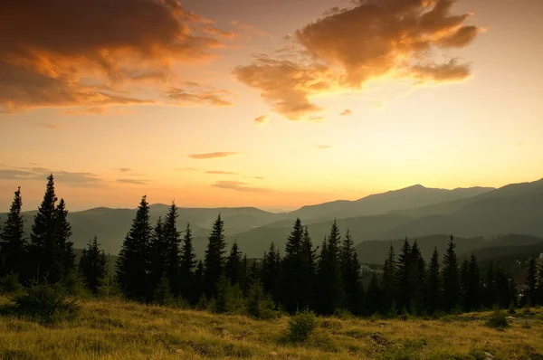 Hermoso paisaje de verano en las montañas — Foto de Stock