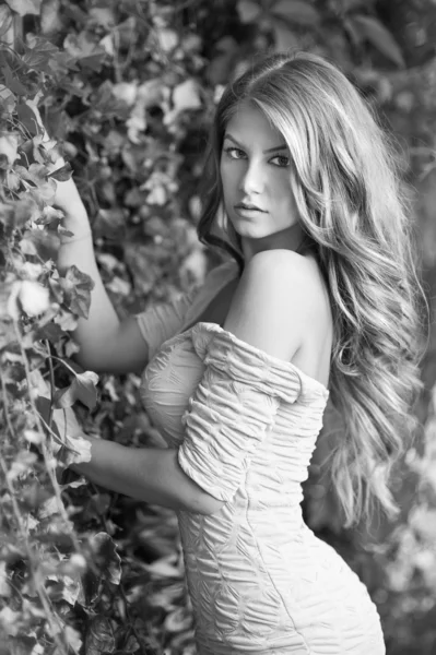 Unga attraktiva flicka utomhus i fältet. blond tjej — Stockfoto