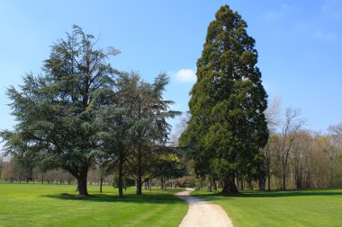 Garden of the Cheverny Castle clipart