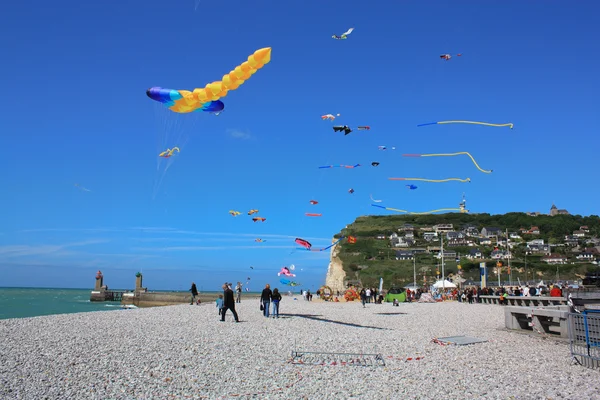 Kites on a pebbles beach — Stock Photo, Image