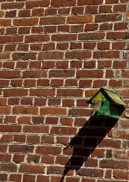 Bird house on the wall — Stock Photo, Image