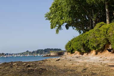 vahşi beach - brittany