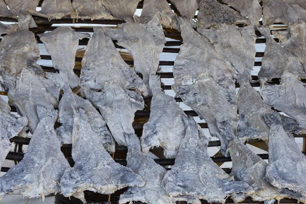 소금에 절인된 물고기 — 스톡 사진