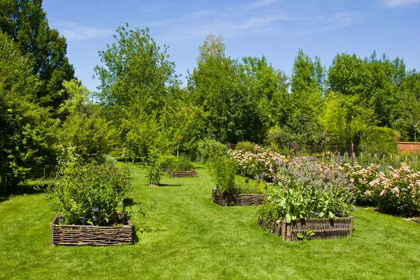 Herbs garden — Stock Photo, Image