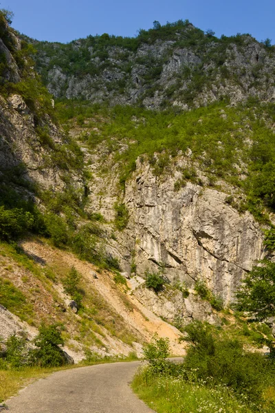 Vallée de Sohodol — Photo
