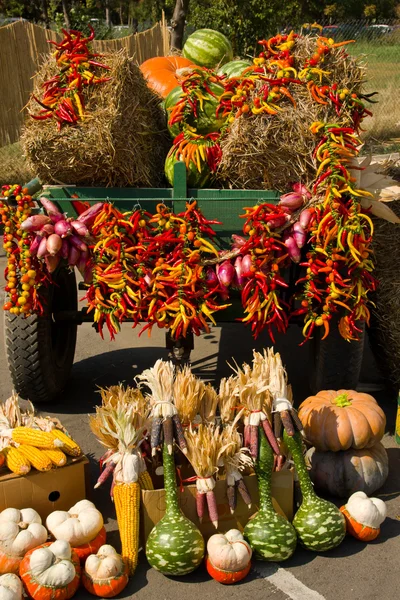 Autumn cart — Stock Photo, Image