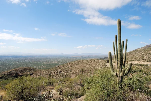 Arizona Land — Stockfoto