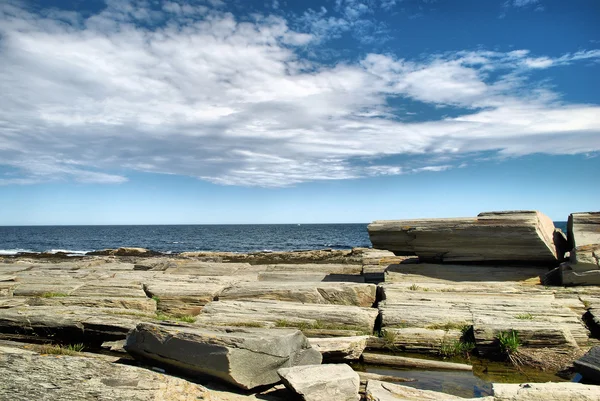 stock image Sea Logs