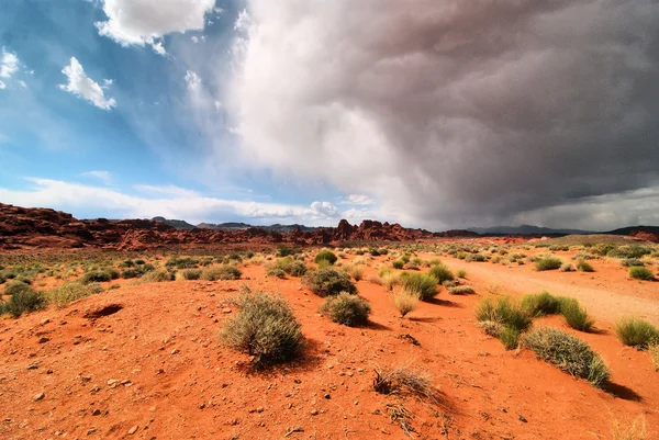 Tormenta del desierto —  Fotos de Stock