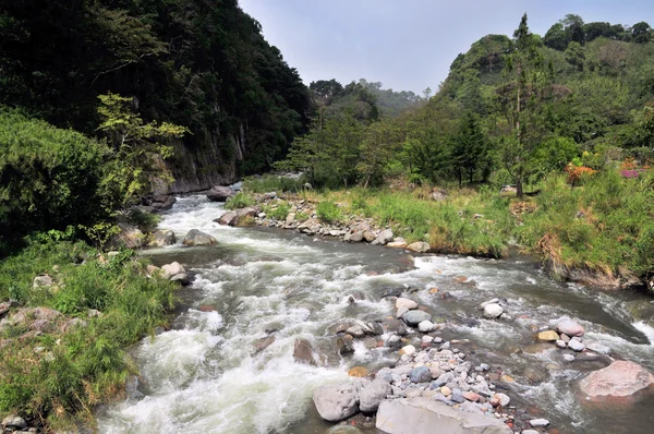 Río en la selva tropical — Foto de Stock