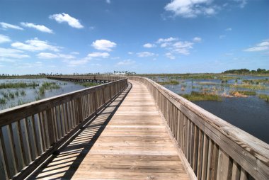 Curves in the Walkway clipart