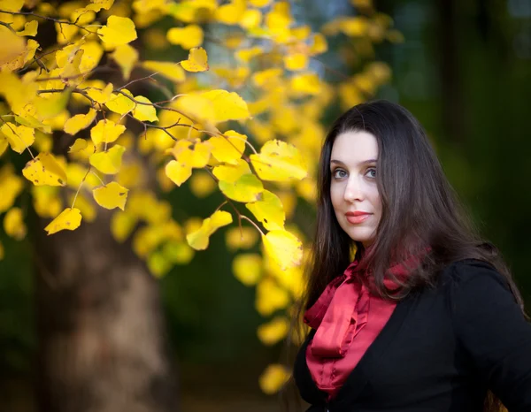 stock image Autumn dreams