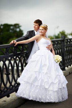 Happy bride and groom at wedding walk on bridge clipart