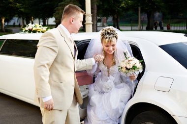 Happy bride and groom clipart