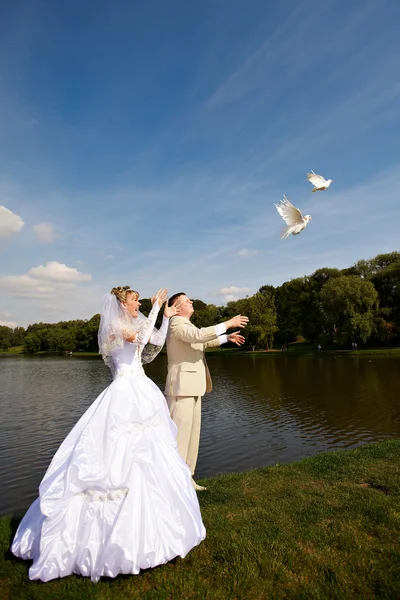 Bride and groom release wedding pigeons — Stock Photo, Image