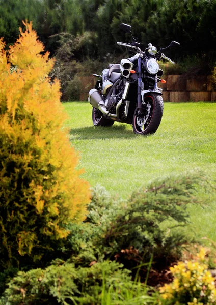 Motocicleta no prado — Fotografia de Stock