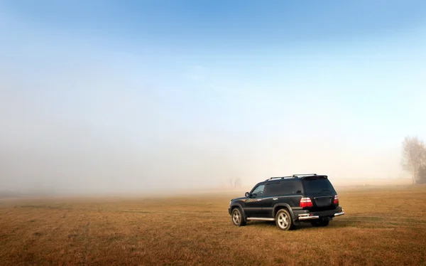 Car in the field — Stock Photo, Image