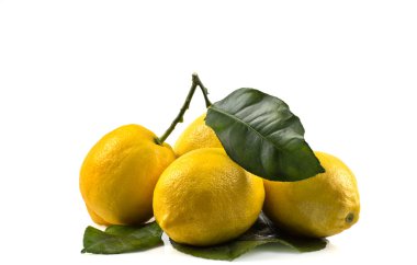 Lemons clipart