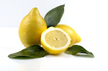 Leaves and lemons clipart