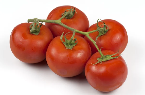Bästa tomater i världen — Stockfoto