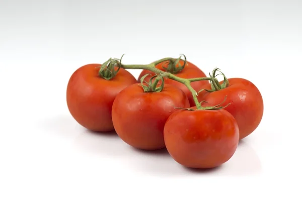 Vine tomatoes — Stock Photo, Image