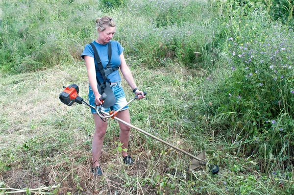 stock image Strimmer