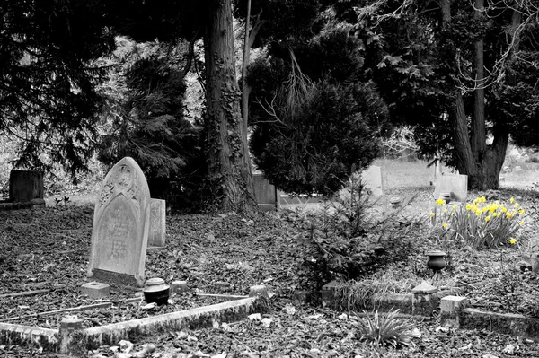 stock image Cemetery