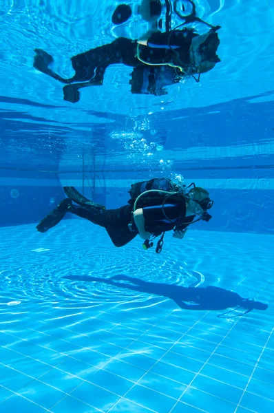 Підводним плаванням — стокове фото