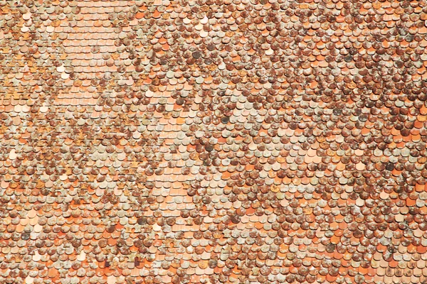 Stock image Square clay roof tiles