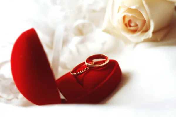 Anneaux de mariage avec rose — Photo
