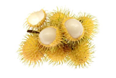 Rambutans - Nephelium lappaceum