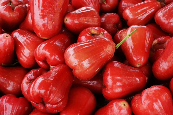 stock image Red Java Apples