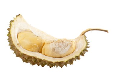 olgun durian