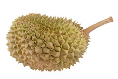 Durian clipart