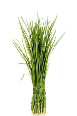 Chinese Garlic Chives also known as Ku Chai clipart