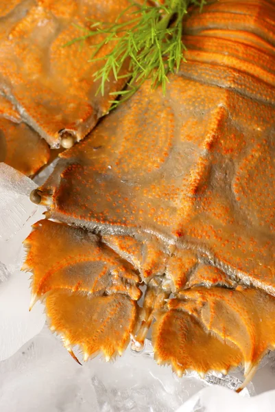 煮熟的拖鞋龙虾在冰冷的床上 — 图库照片