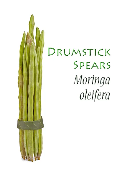 Podudzie spears znany również jako moringa oleifera — Zdjęcie stockowe