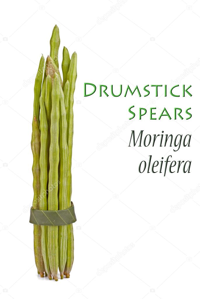 Drumstick Spears also known as Moringa oleifera