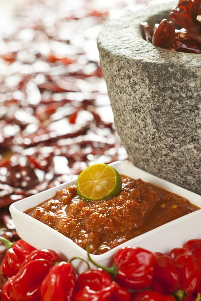 Sambal Chili - condiment picant de pastă de creveți — Fotografie, imagine de stoc